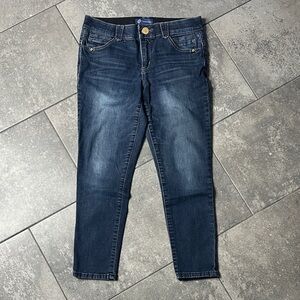 Democracy Ab-solution Jeans Size 6P Petite Stretch Blue Denim